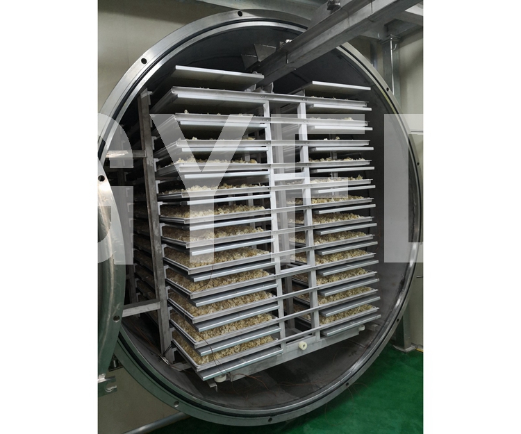 White fungus soup freeze-drying machine