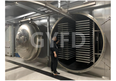 大型生产冻干机 改 大型生产冻干机 50-250㎡（500-4000kg处理量）